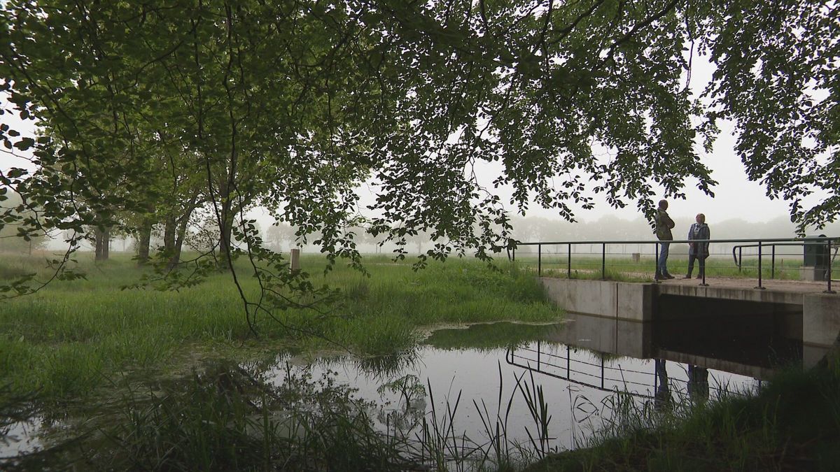 Oude Willem: 'Van landbouwgebied naar natuurgebied zonder weerga' - RTV
