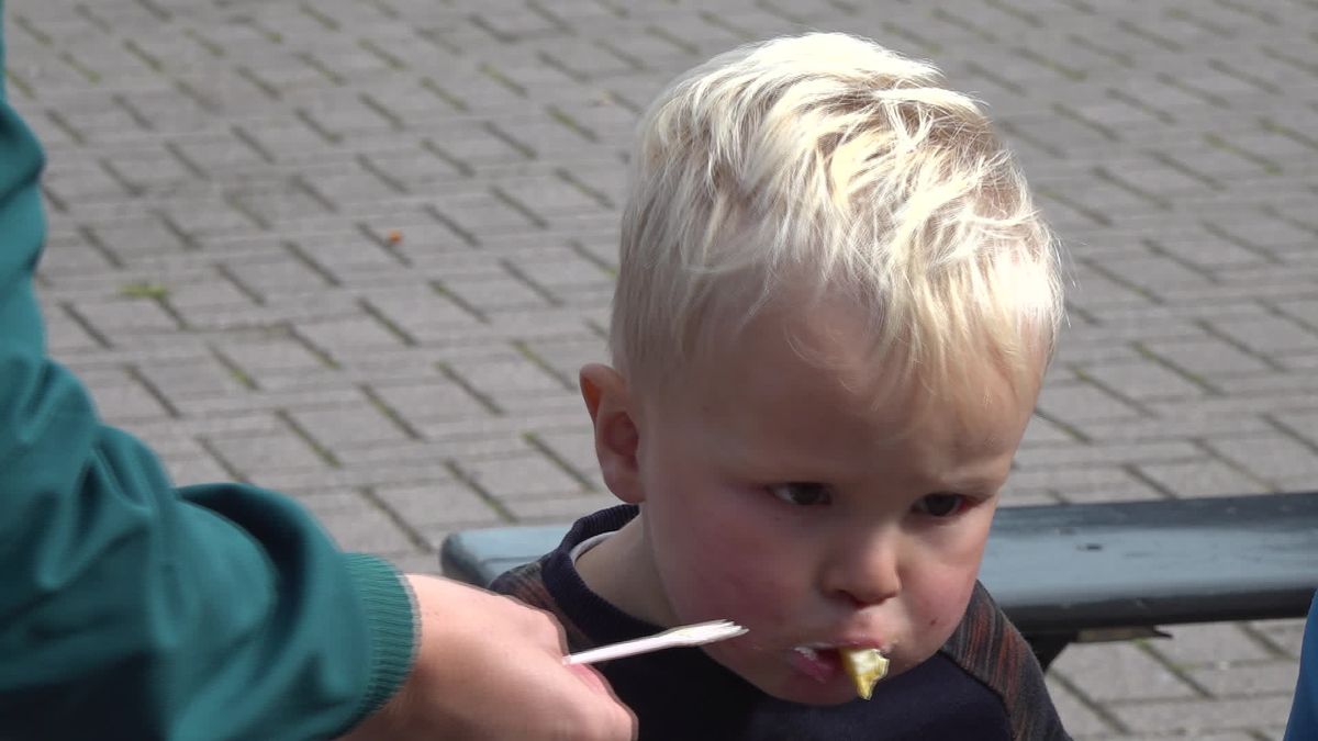 Basisschoolleerlingen uit Luttenberg rooien aardappels op de ouderwetse manier