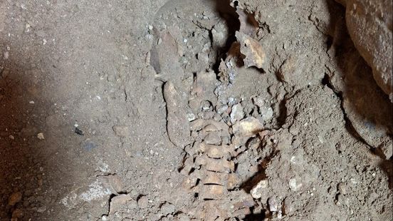 Maastrichtse wijk over mogelijke vondst d'Artagnan: 'Fantastisch' Home