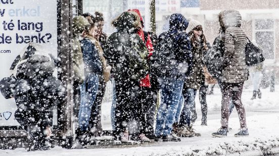 In hele regio rest van dag geen bussen, behalve in Den Haag Nieuws