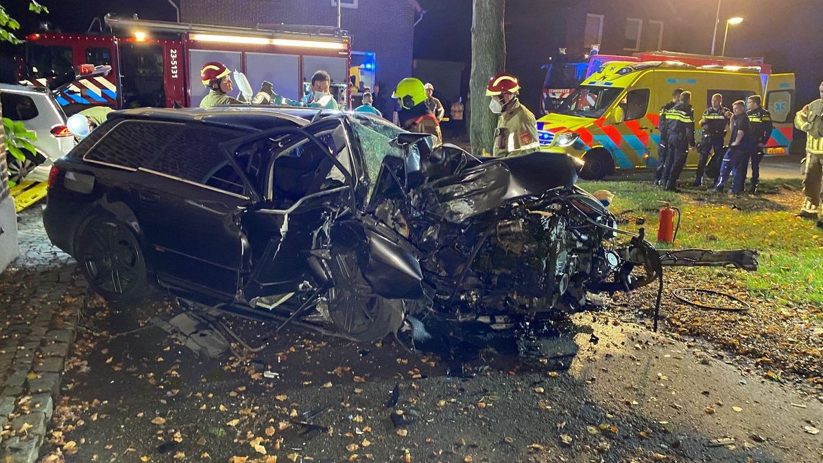 Automobilist zwaargewond na nachtelijke botsing tegen boom