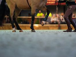 Opleidingen rondom paardensport verhuizen van Assen naar Exloo