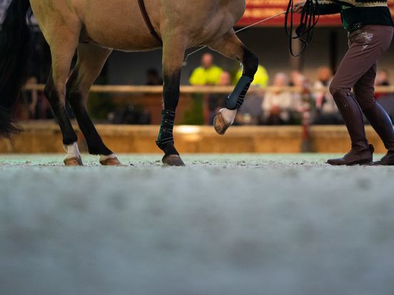 Opleidingen rondom paardensport verhuizen van Assen naar Exloo