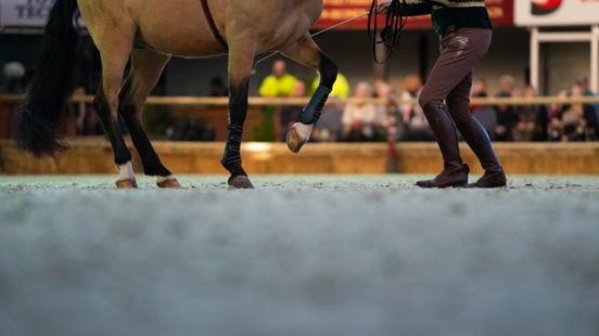 Opleidingen rondom paardensport verhuizen van Assen naar Exloo Nieuws