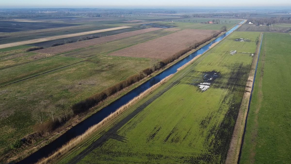 Biodiversiteit in de Veenkoloniën kan veel beter door loslaten van 'strak, kort en netjes'
