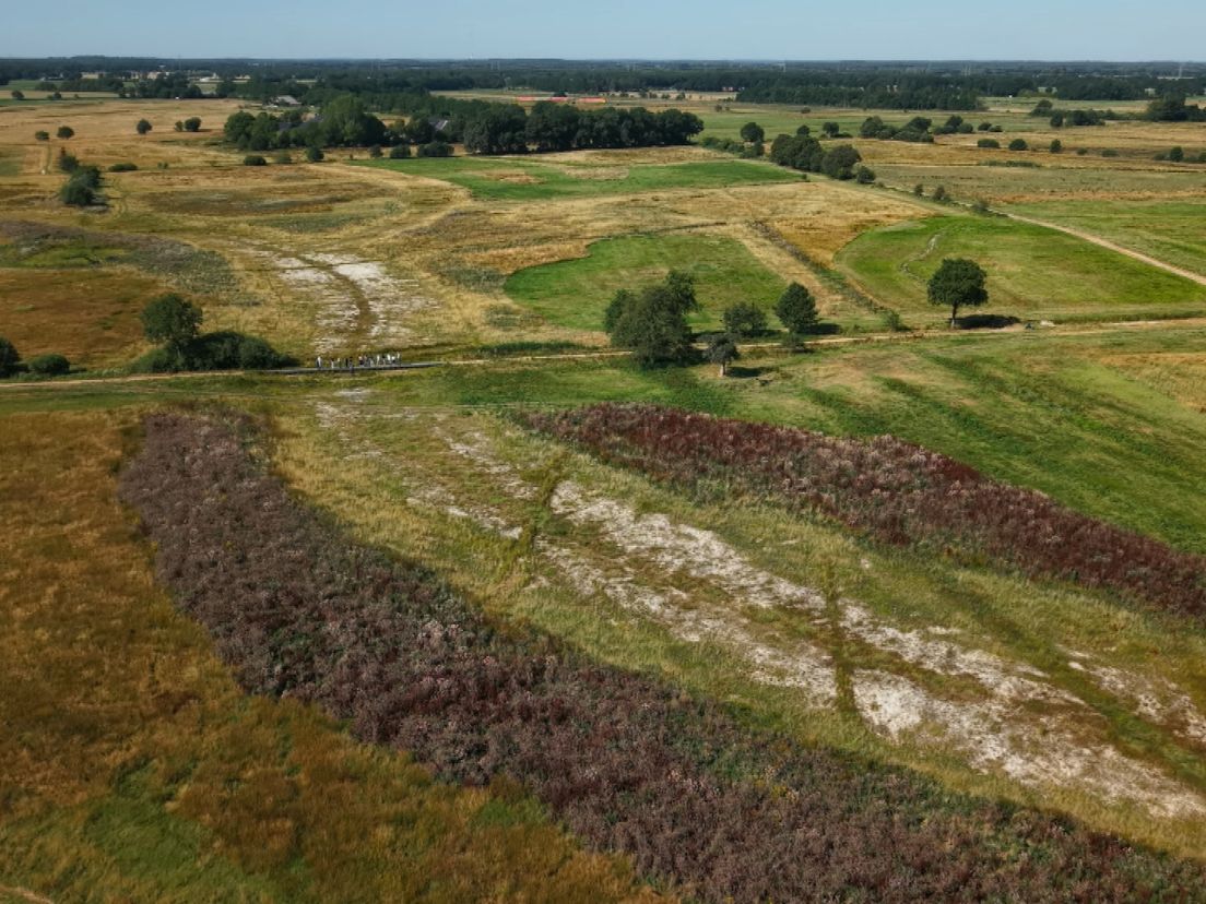 Boerenprotest tegen vernatting van natuur bij Geelbroek afgewezen