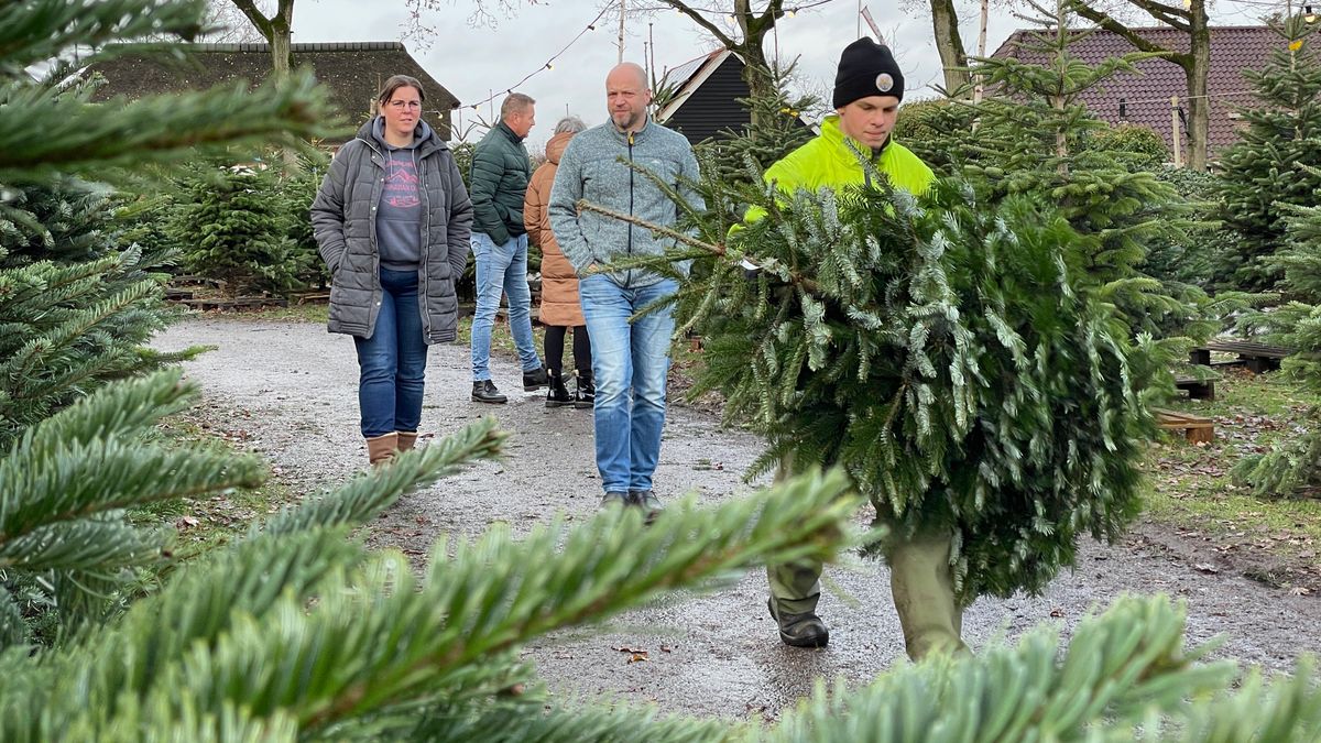 Kerstbomenverkopers en kerstmarkten druk bezocht in eerste 'kerstige' weekend