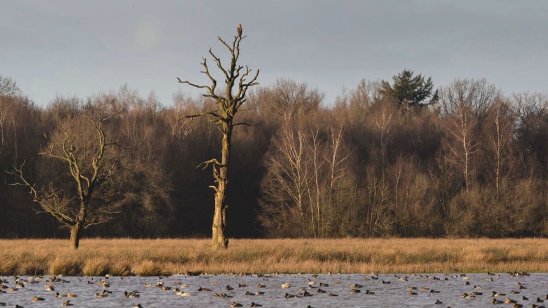 De Mepper Hooilanden