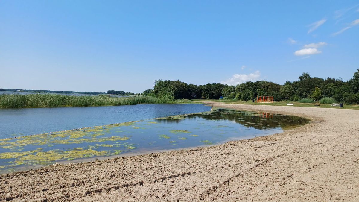 Blauwalg in het Eeltsjemar bij Rinsumageast