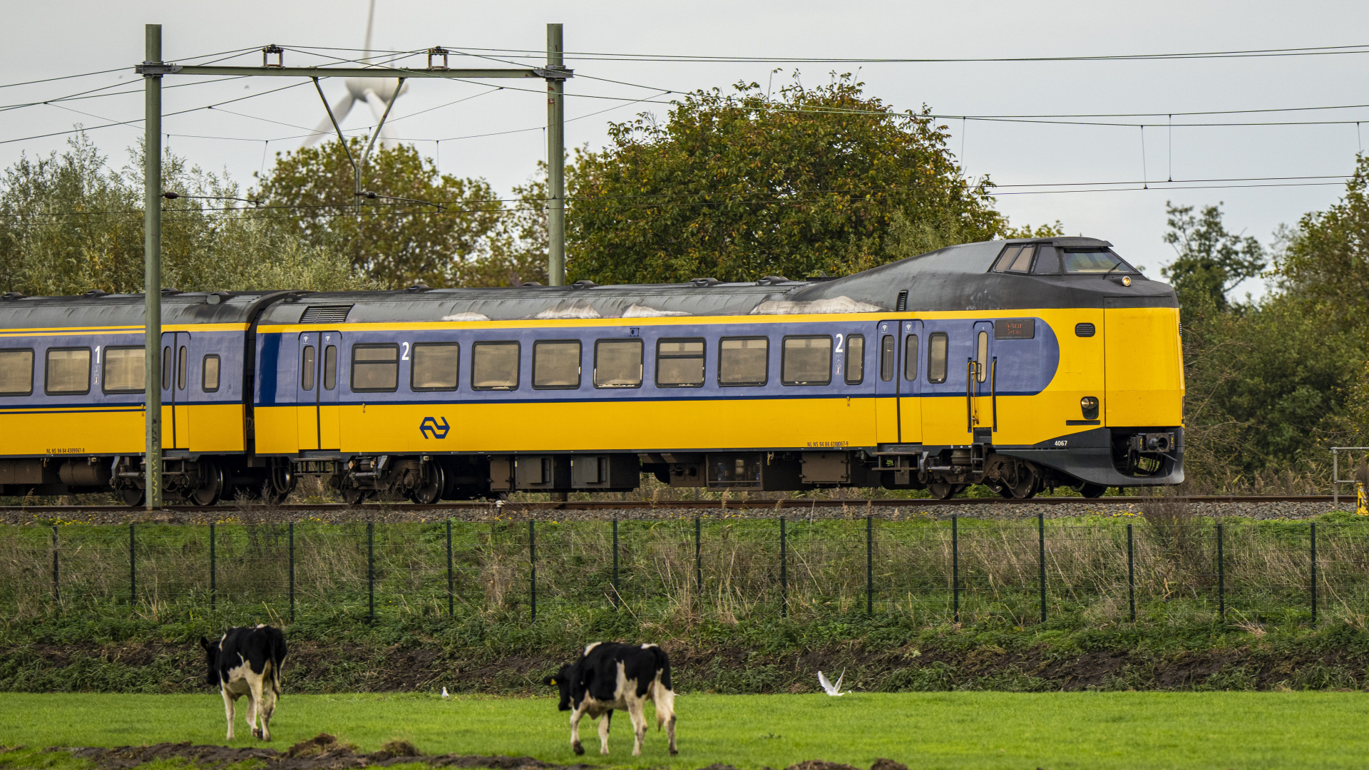 Werk Aan Het Spoor: Geen Treinen Tussen Gouda En Den Haag Centraal ...