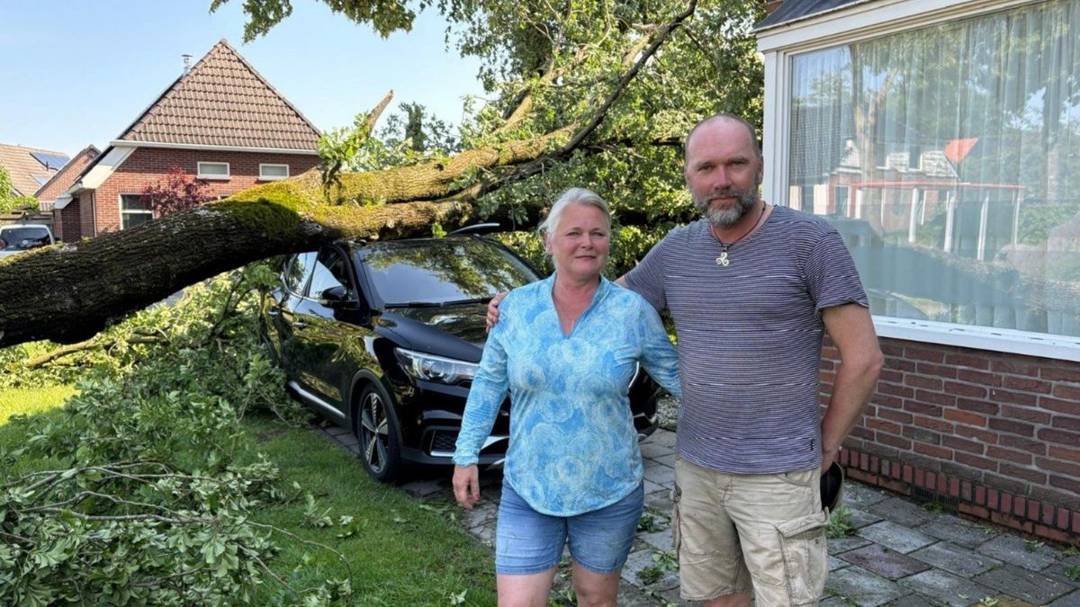 Stormnacht in Zuidbroek eindigt in bijzondere ontmoeting