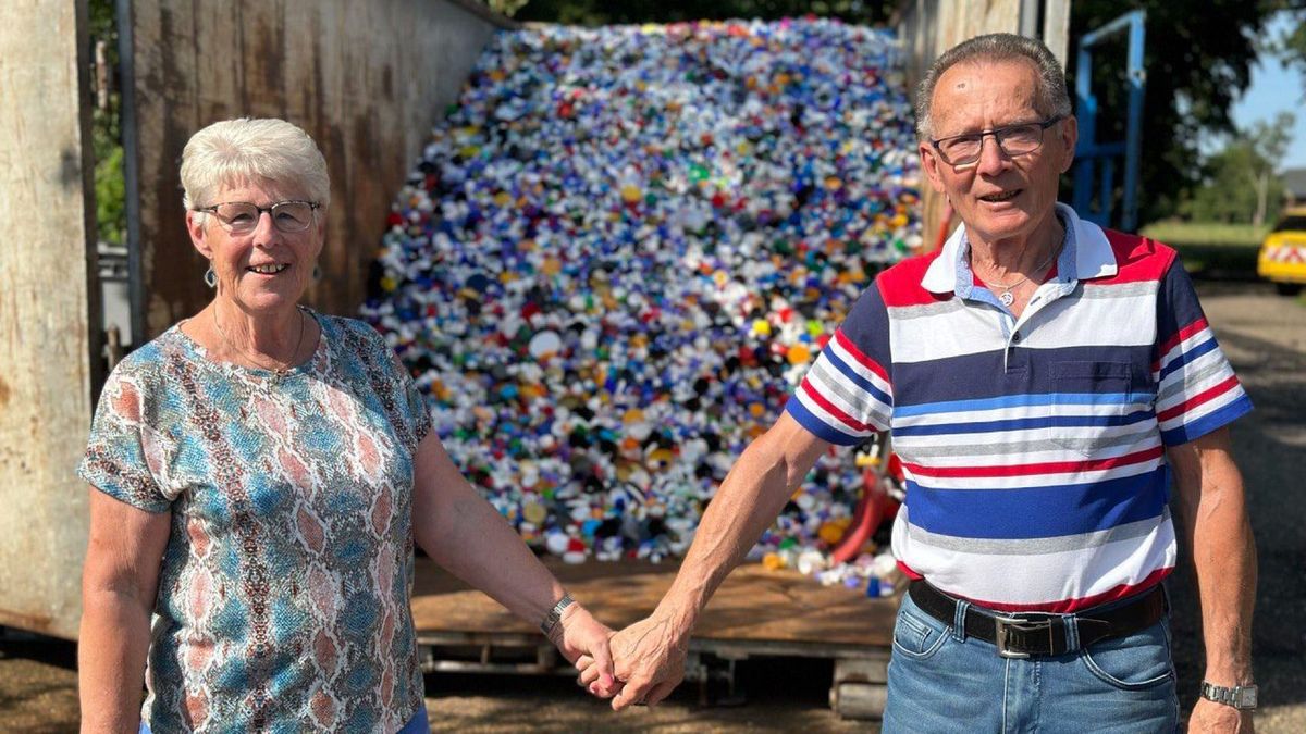 16 stuks flessendoppen van kurk in T-vorm, T-vorm van hout, rubber, voor wijn, bier en champagne, kurk, wijndop, herbruikbare hout- en rubberen stoppen