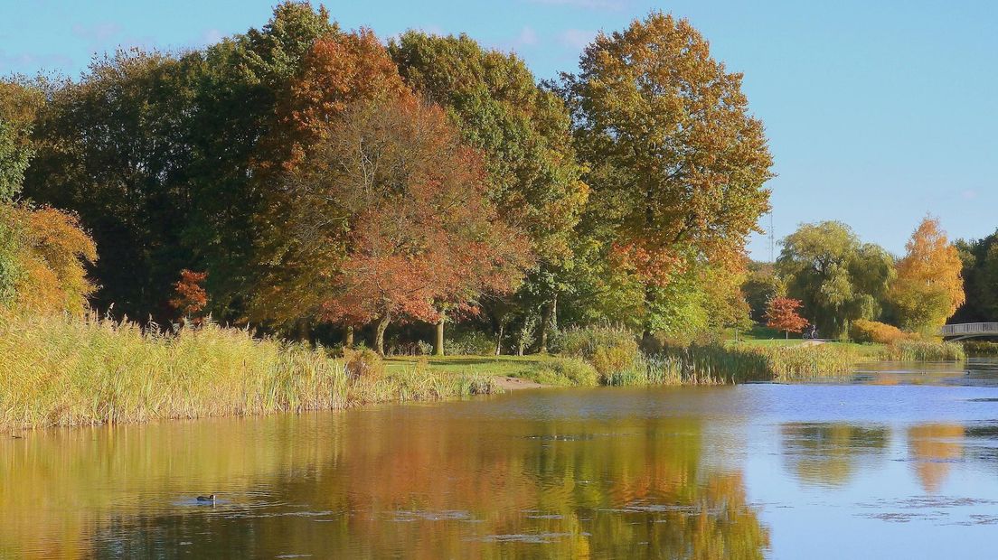 Er komt een horecapaviljoen in het park in Zwolle