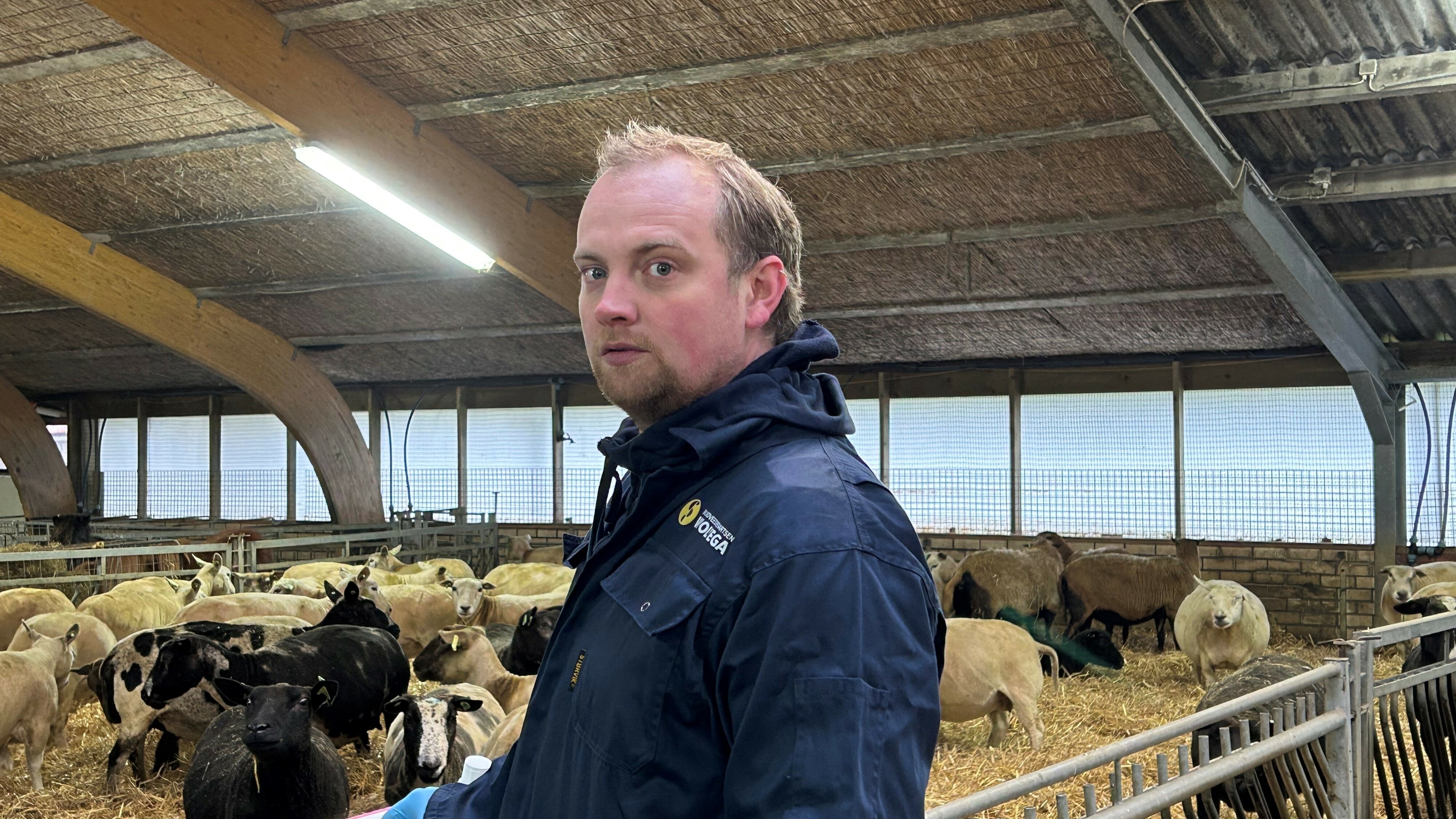 Feedokter Hans Veenstra yn in stâl yn Blesdike