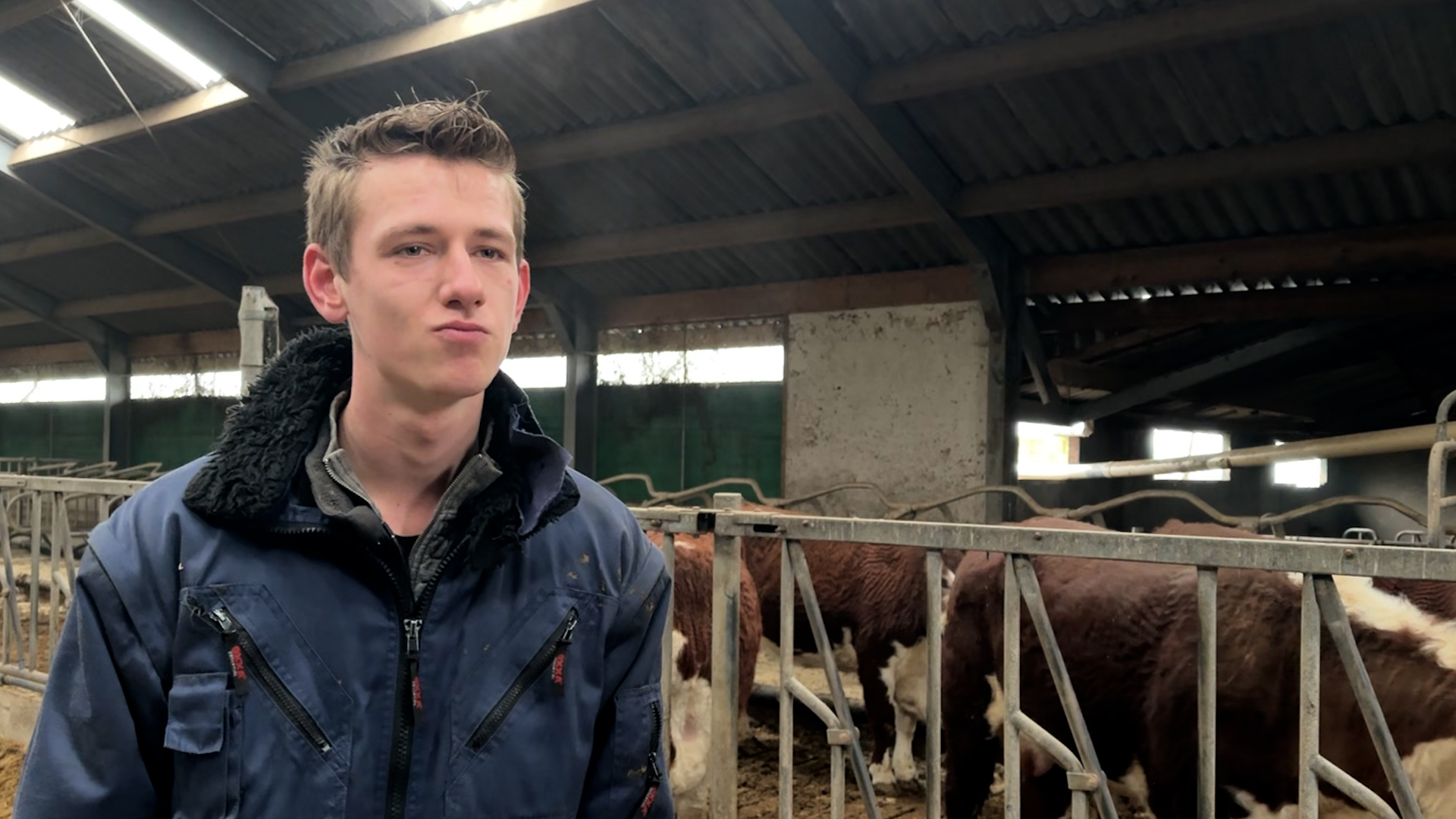 Boerenfamilie ruilt grond met de provincie zodat zoon Gijs (20) een toekomst heeft met het bedrijf