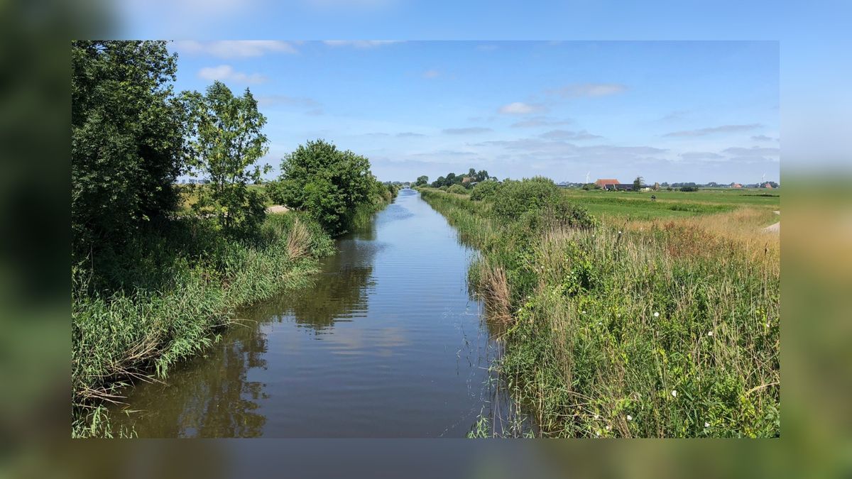 Vogelgebied It Heidenskip wint 'Samen voor Biodiversiteit'-prijs