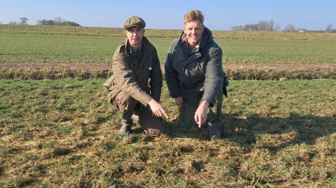 Jan Nutma en Harry Wijbrands by it nêst yn De Fryske Marren