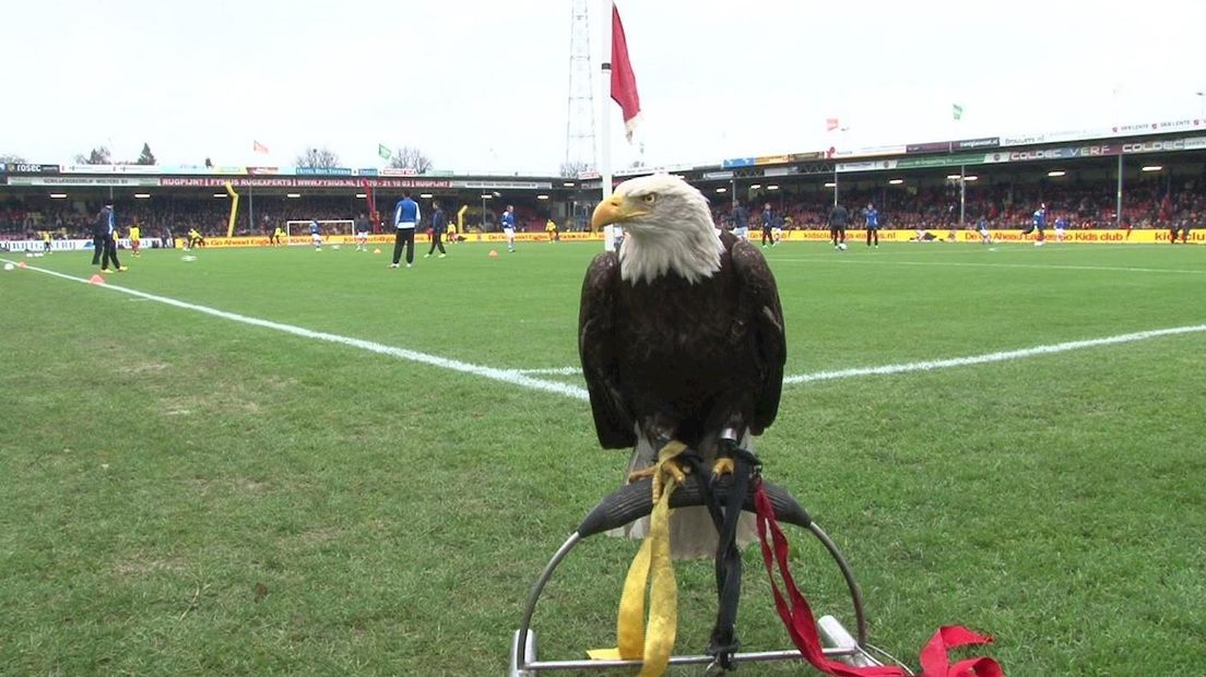 Zeearend Harly (Go Ahead Eagles)