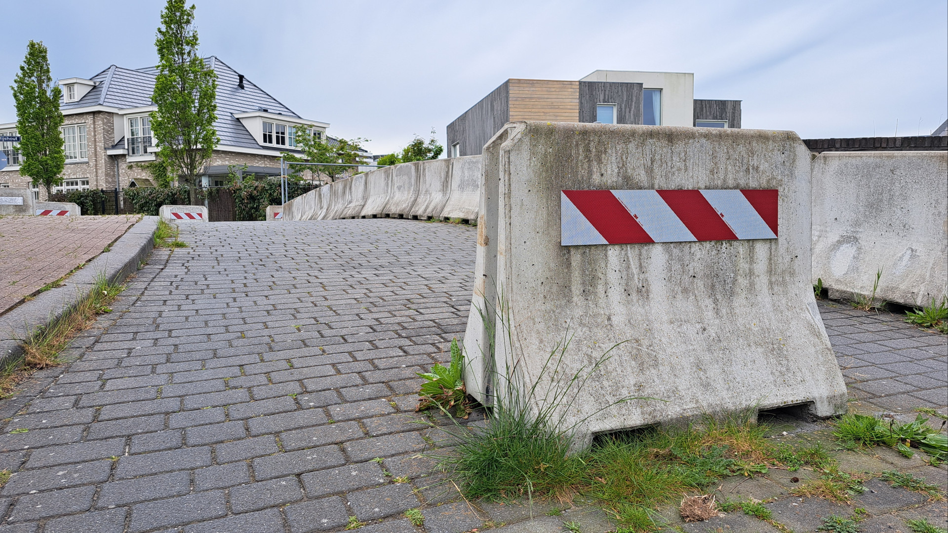 Onkruid gedijt prima op een ongeroerde ondergrond