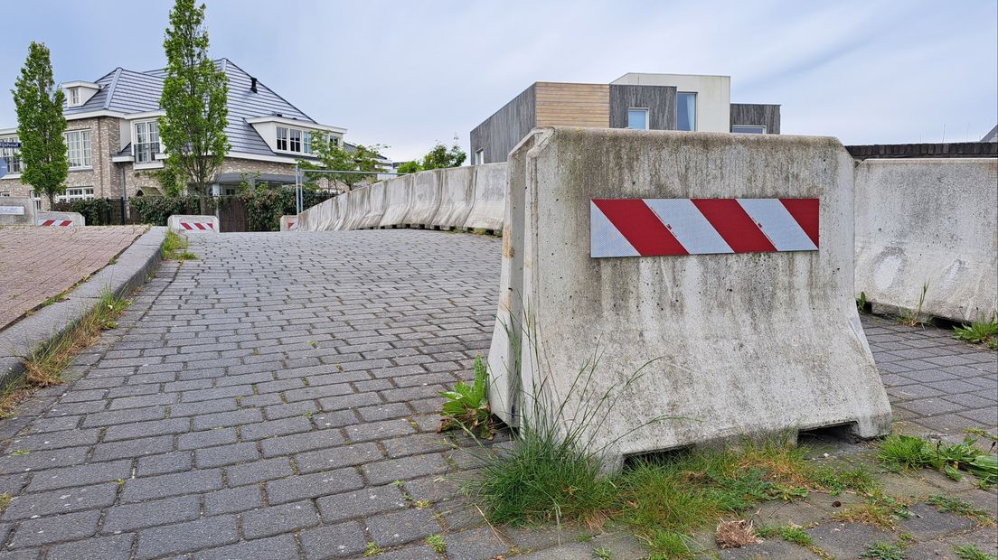 Onkruid gedijt prima op een ongeroerde ondergrond
