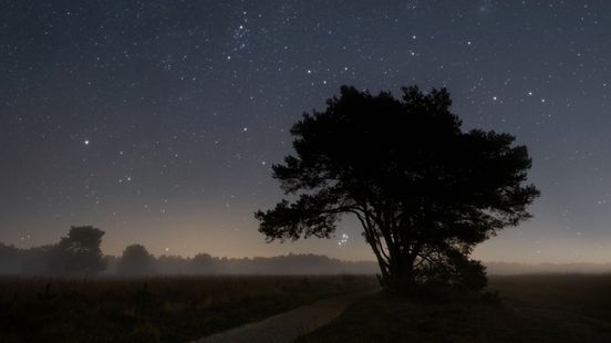 Toenemende lichtvervuiling slecht voor mens, dier en plant