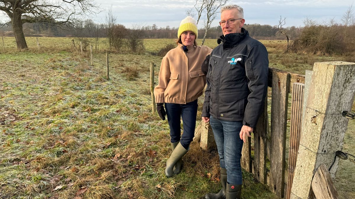 Dromen van de klokjesgentiaan in waterwingebied Assen-Oost
