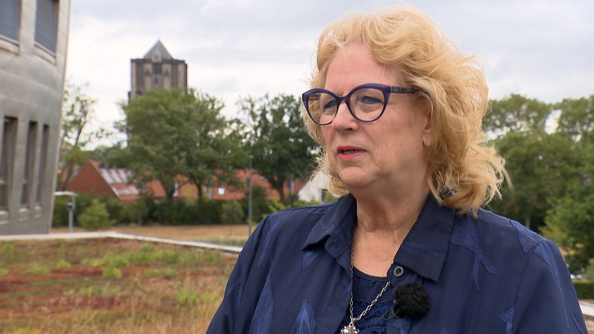 Margo Lemsom (VVD) laat discussie rond haar persoon achter zich: 'Ik heb een gladde rug'