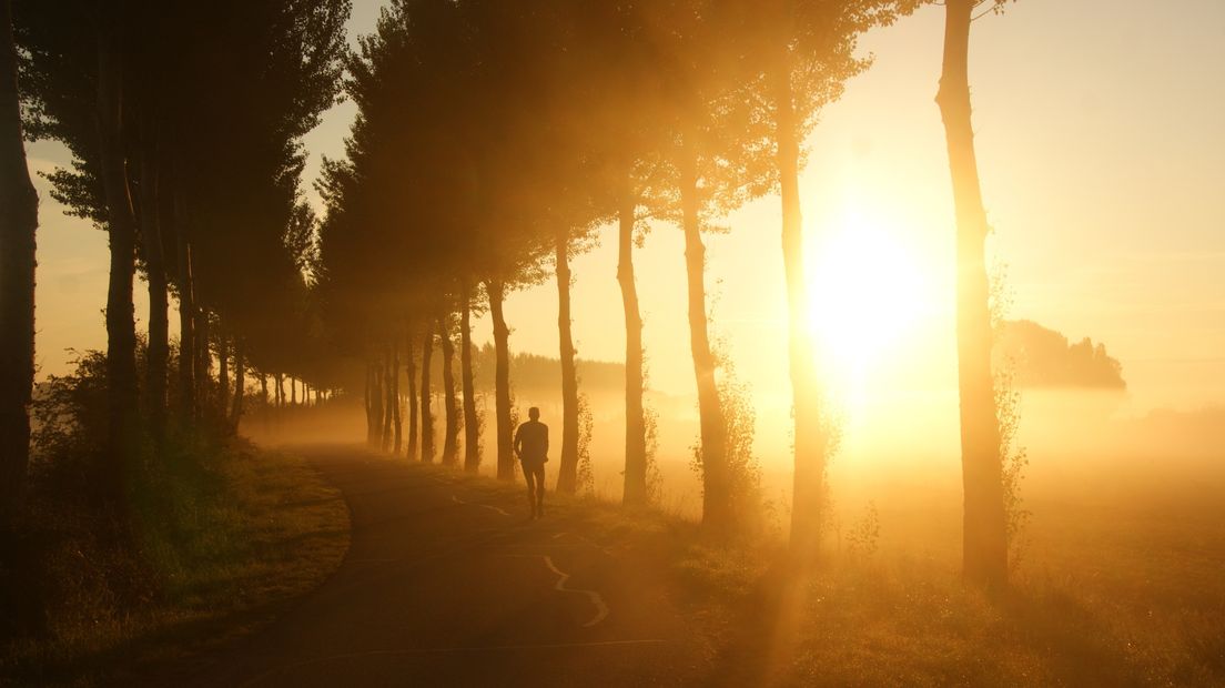 Hardlopen met een opkomende zon bij 's-Heerenhoek.