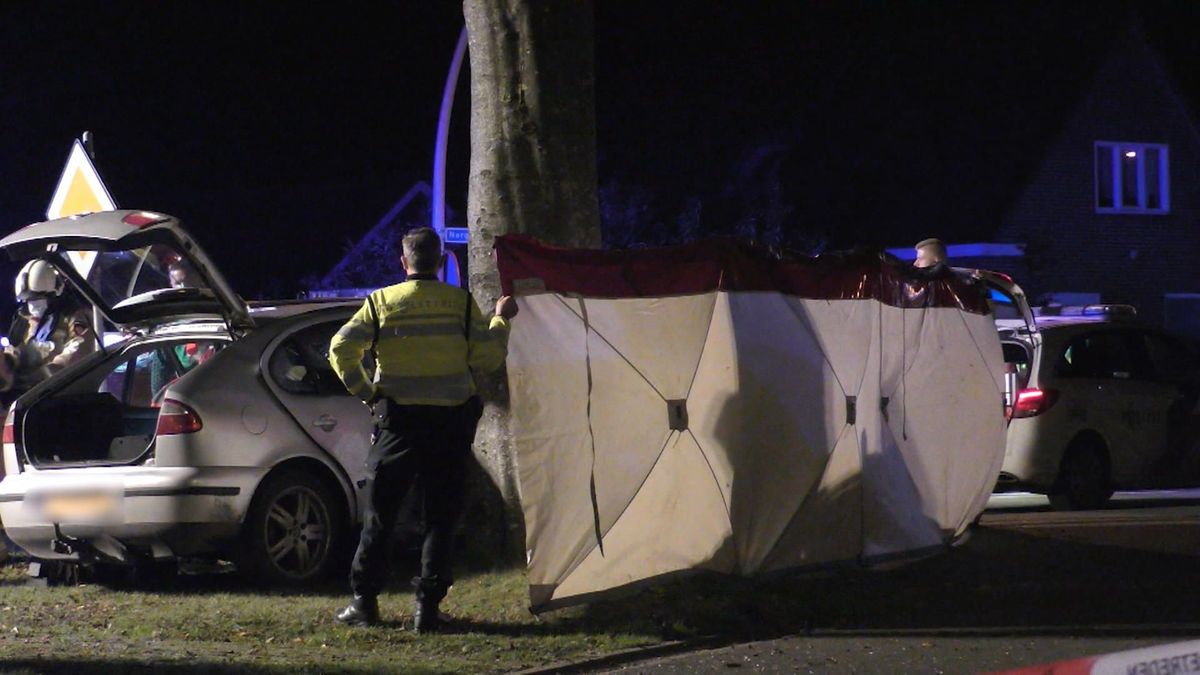 Automobilist botst tegen boom bij Donderen