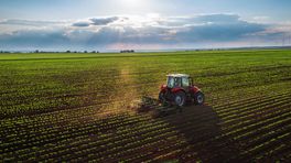 Limburgse boeren kunnen subsidie aanvragen voor waterafvoer