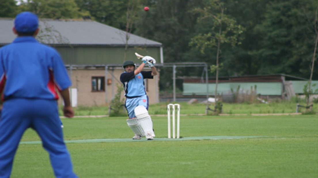 cricket-VVC-0208