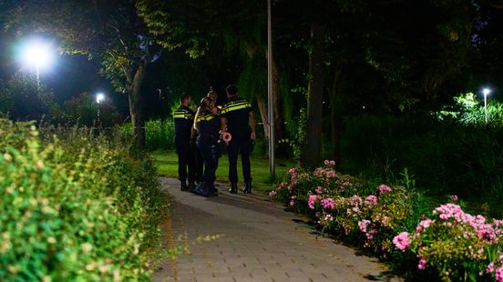 Politie in Spijkenisse pakt man op voor meerdere zedenzaken in korte tijd
