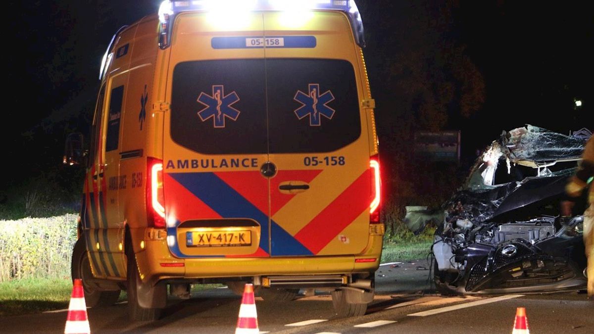 Losgebroken paarden aangereden tussen Weerselo en Oldenzaal