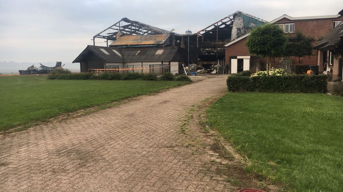 Er wordt vrijdag onderzoek gedaan naar de oorzaak van de brand in een megastal in Erichem, bij Geldermalsen. Bij die brand kwamen donderdag alle 20.000 varkens om het leven.