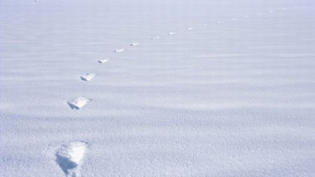 Duo aangehouden door sneeuwsporen