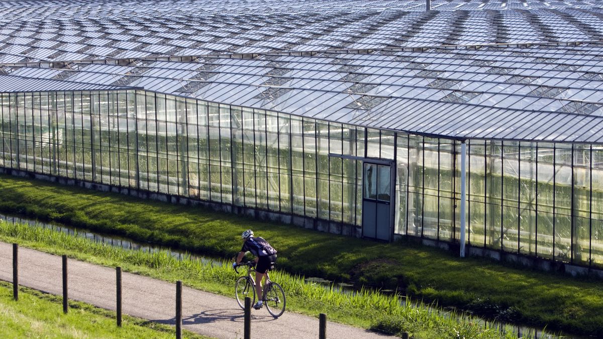 Glastuinbouw moet nog zeker dagen wachten op extra water