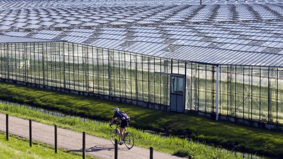 Geen uitzondering voor Westlandse tuinders op sproeiverbod Home