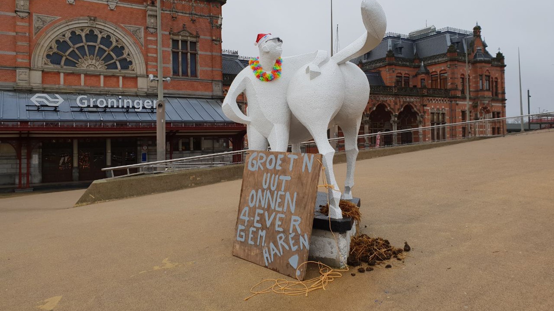 Peerd van Ome Loeks in holst van de nacht versierd - RTV Noord