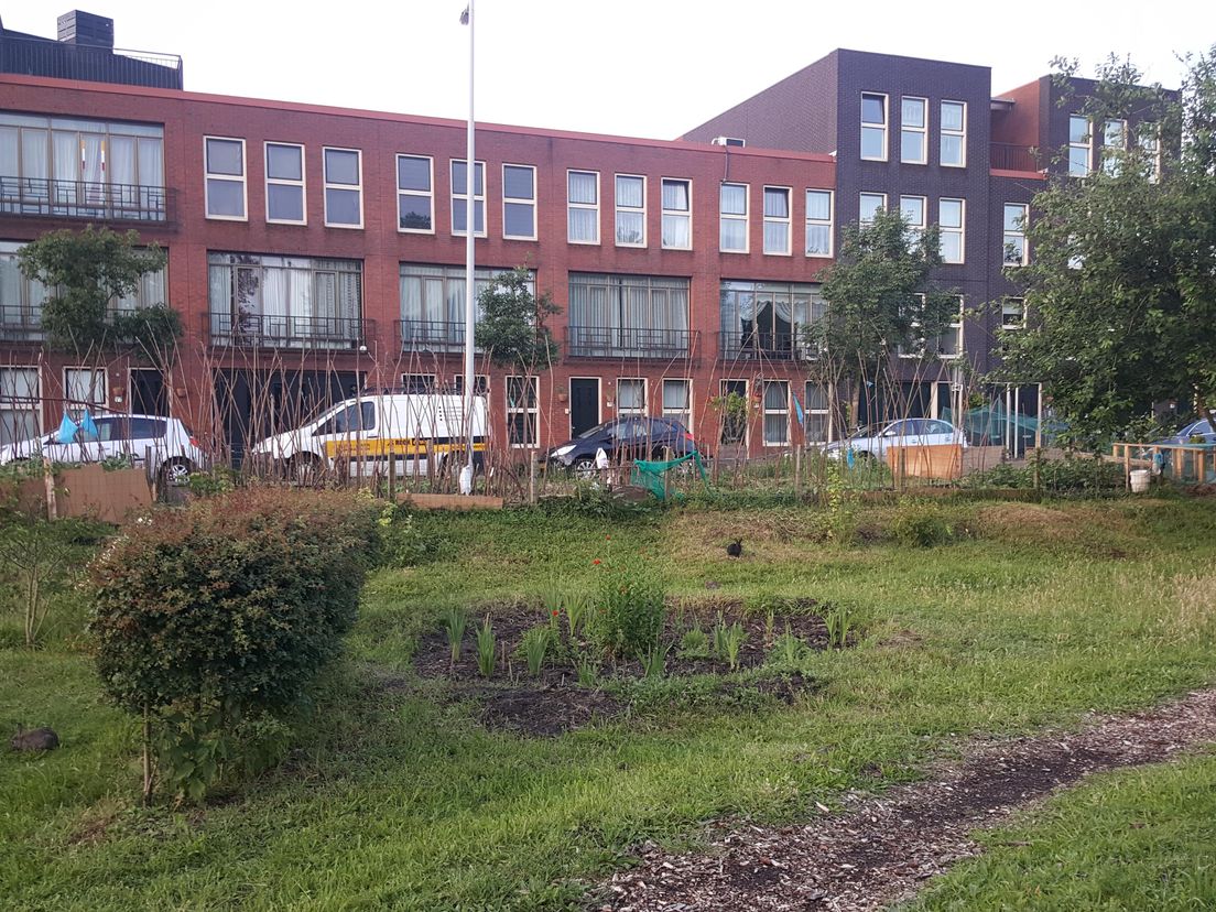 Proefpark De Punt in Rotterdam-Delfshaven