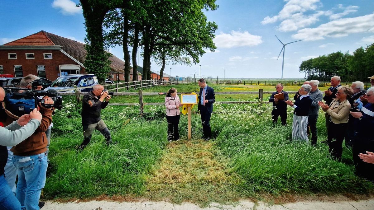 Gevechtsvliegtuigen maakten noodlandingen in Borger-Odoorn: zes monumenten onthuld