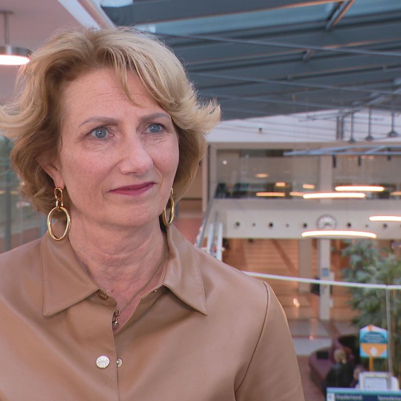 Esther Talboom Kamp Is Nieuwe Voorzitter Raad Van Bestuur Zuyderland Esther Talboom Kamp Is Nieuwe Voorzitter Raad Van Bestuur Zuyderland