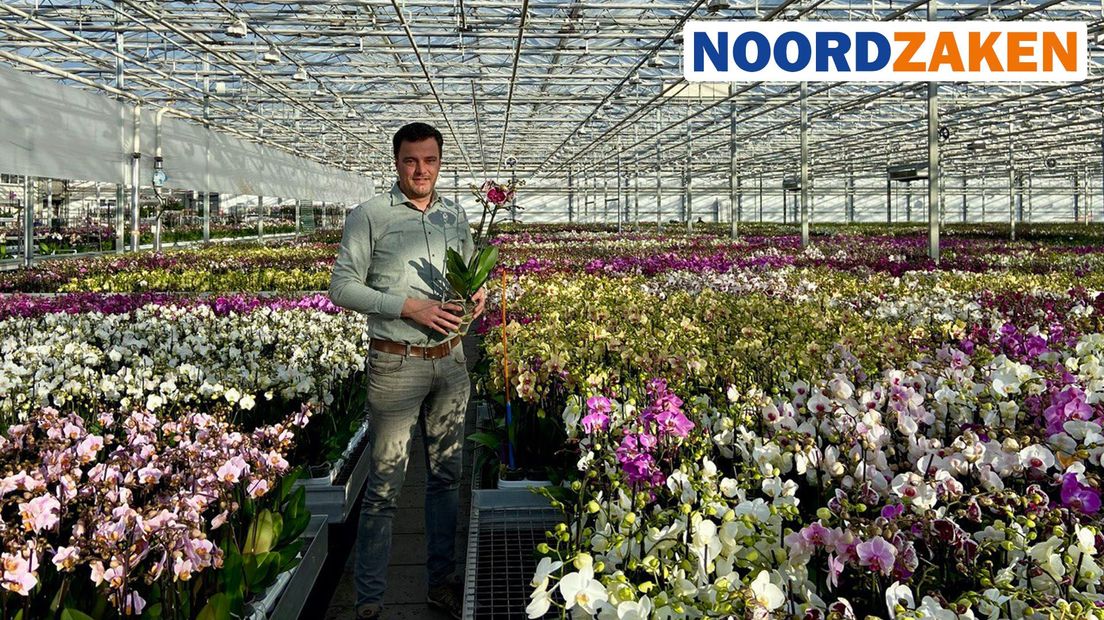 Commercieel directeur Wouter Konijn van Aardse Orchideeën