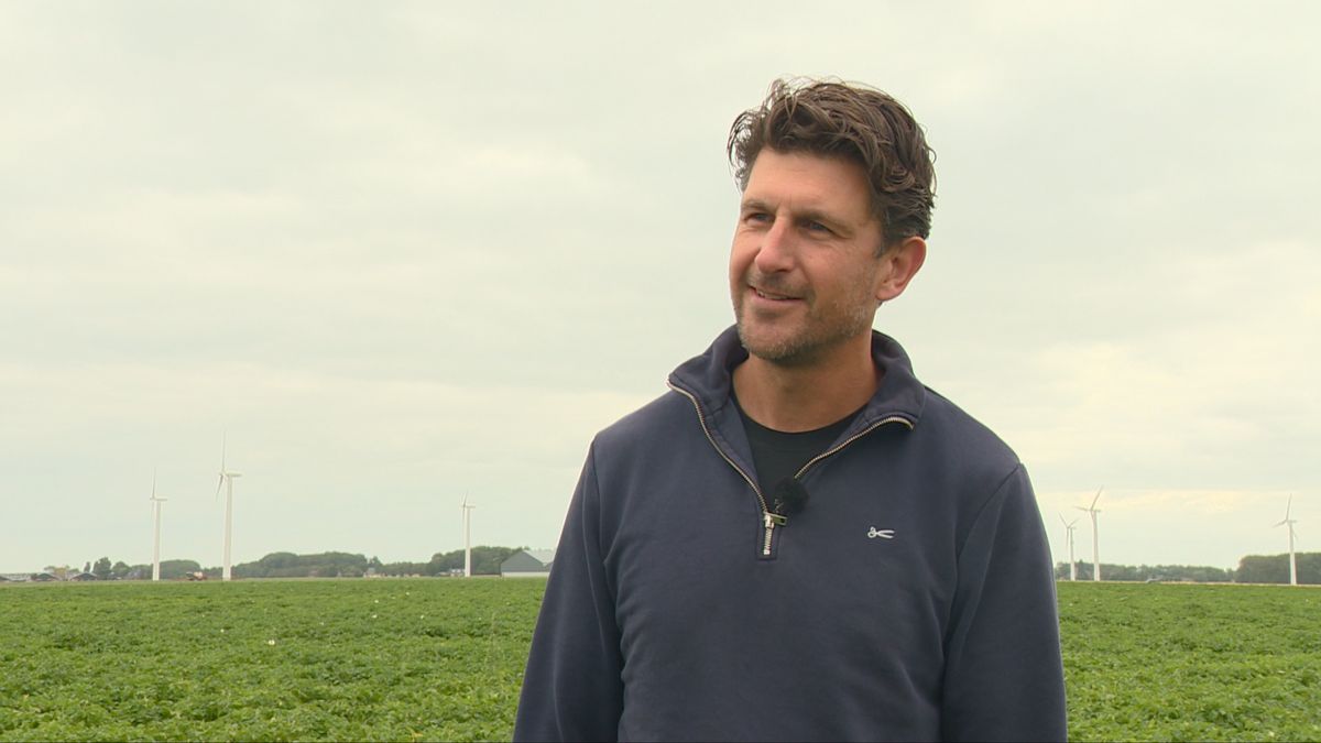 Droge maanden leiden tot minder groei en hogere prijzen voor aardappels
