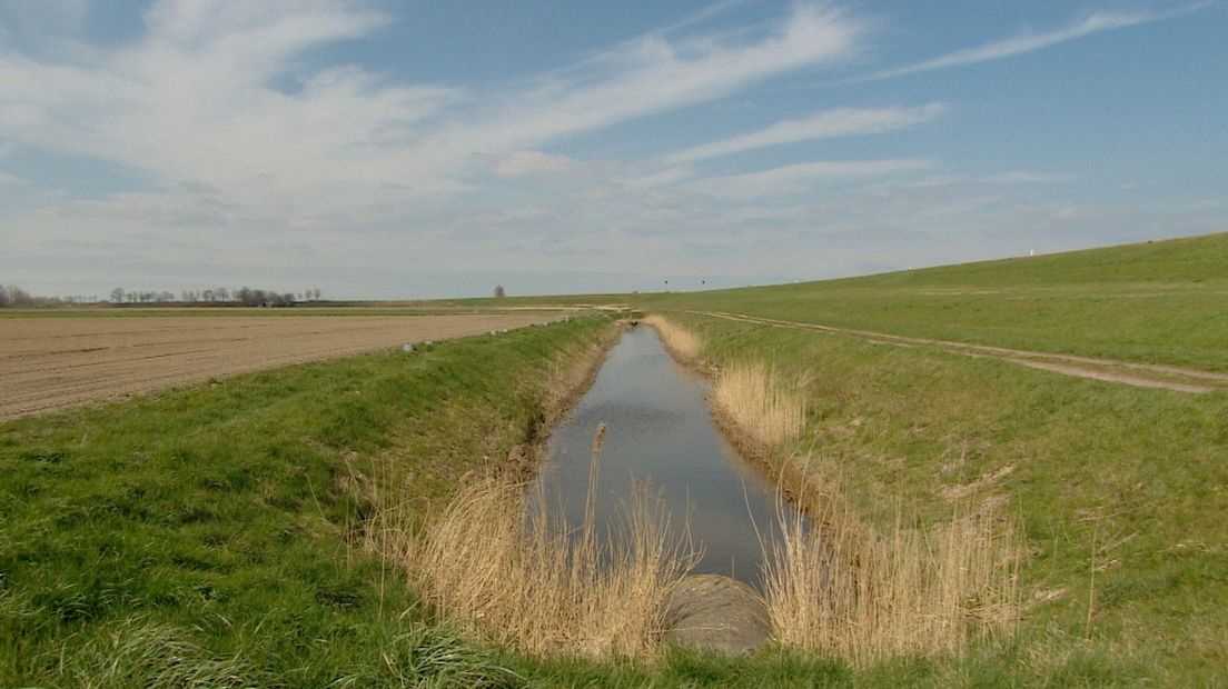 dijk Perkpolder