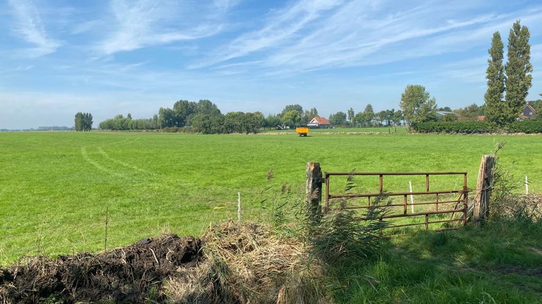Cleene Hooge 6