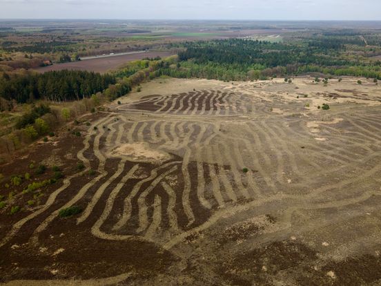 Graancirkels op de hei? Mysterieuze patronen op het Molenveld bij Exloo