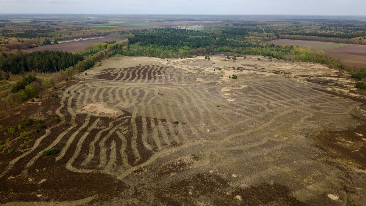 Graancirkels op de hei? Mysterieuze patronen op het Molenveld bij Exloo