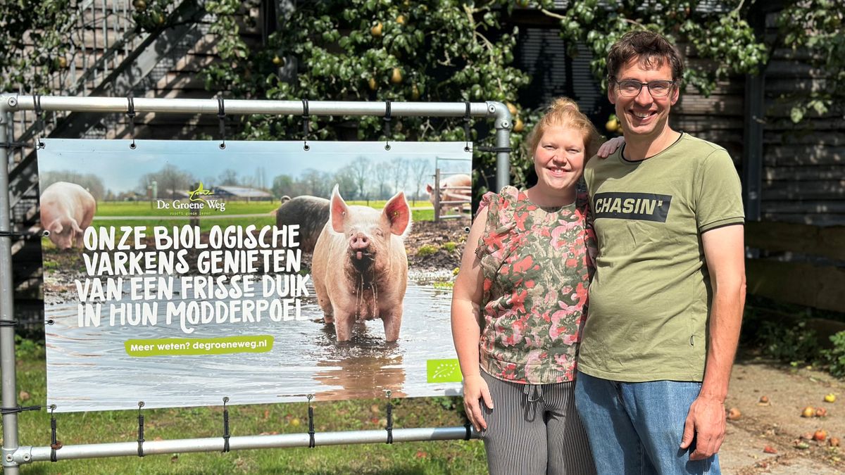 Familie Overesch heeft biologische varkensboerderij in Heino: 