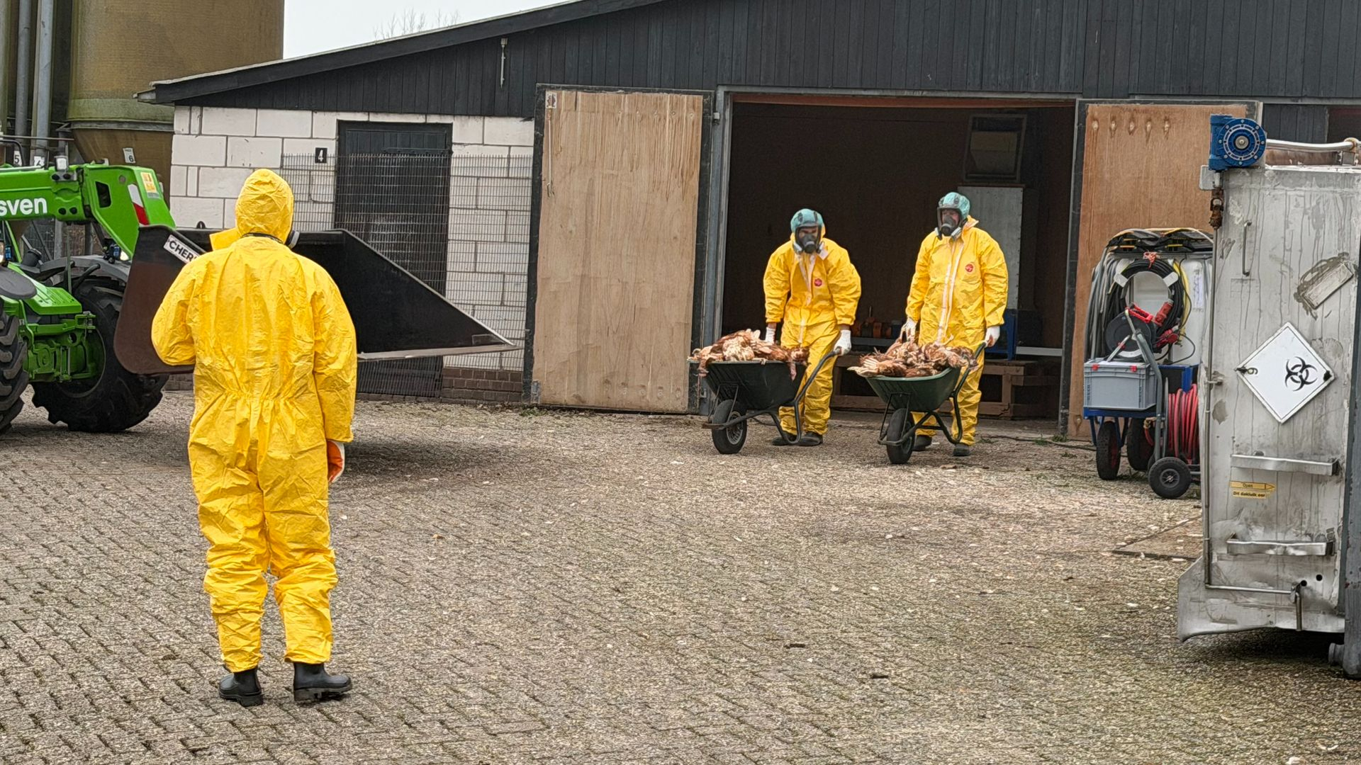 23.000 kippen geruimd na derde vogelgriepuitbraak deze week