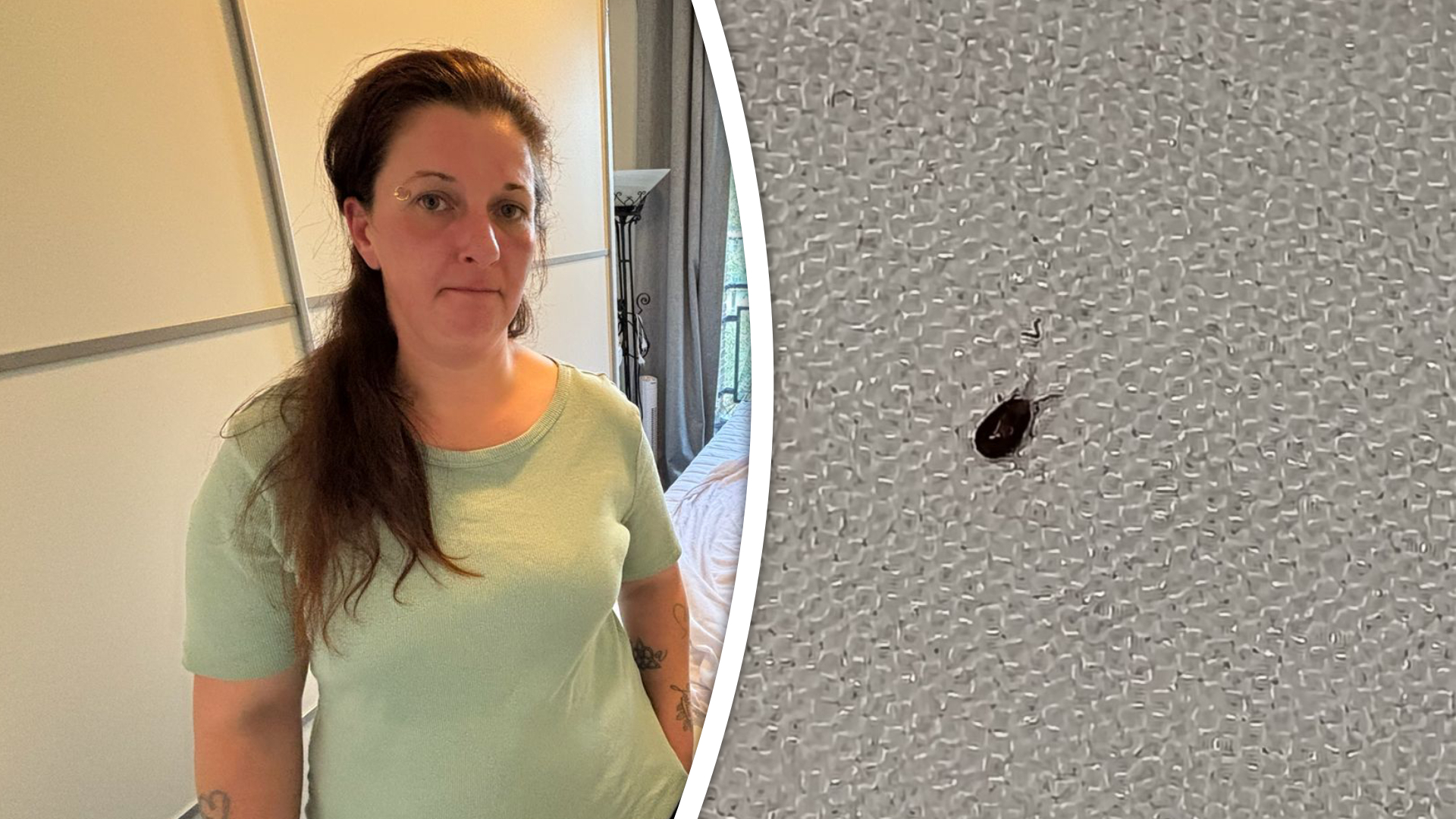 Nathalie uit Rotterdam-IJsselmonde is radeloos door de vogelmijten in haar huis.